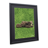 アートインテリア