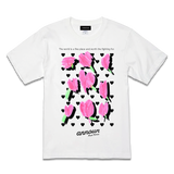 amt26-085