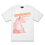 amt26-107