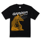 amt26-107