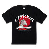amt26-105