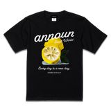 amt26-092