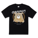 amt26-078