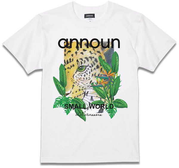 amt25-057