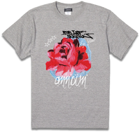 amt25-058