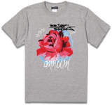 amt25-058
