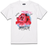 amt25-058