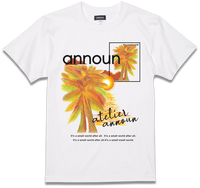 amt25-066