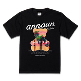 amt26-046
